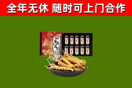 大柴旦县回收冬虫夏草价格