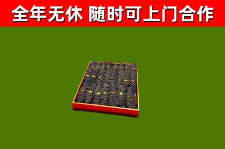 大柴旦县回收海参